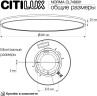 Потолочный светильник Citilux CL748601