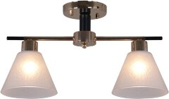 Потолочная люстра Reluce 09112-3.3-02 FG+BK