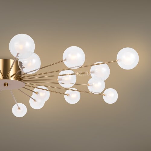 Потолочная люстра Freya FR5242CL-24BS1