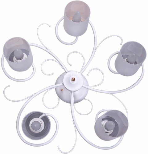 Потолочная люстра Reluce 00738-0.3-05