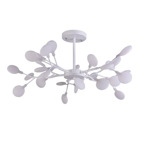 Потолочная люстра F-Promo 2479-10P