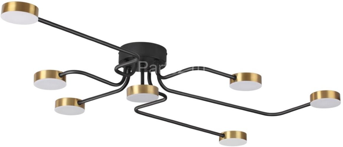 Потолочная люстра Lumion 6532/99CL