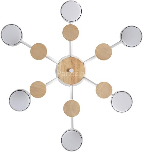 Потолочная люстра Lumion 8231/6C