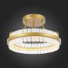 Потолочная люстра ST Luce SL383.202.01