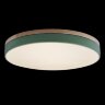 Потолочный светильник Loft It 10001/36 Green