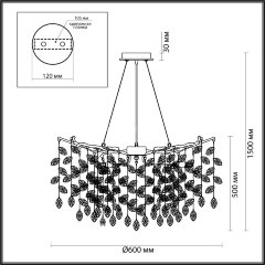 Подвесная люстра Odeon Light 4969/10