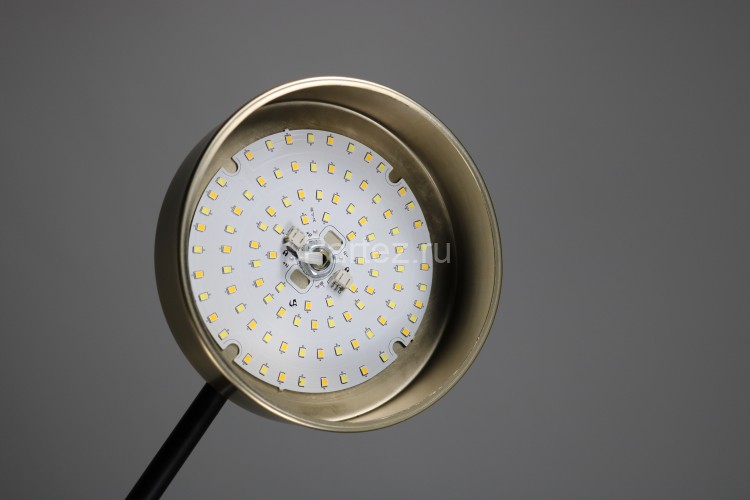 Потолочная люстра Zortes ZRS.01243.04