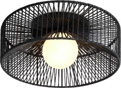 Потолочный светильник Freya FR5405CL-01B