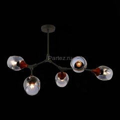 Потолочная люстра Evoluce SLE113402-05