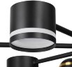 Потолочная люстра Lumion 8234/8C