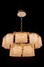 Подвесная люстра Fluorite FL1104-10P