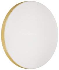 Настенно-потолочный светильник Sonex 3066/CL