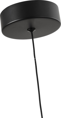 Подвесной светильник Favourite 4452-1P