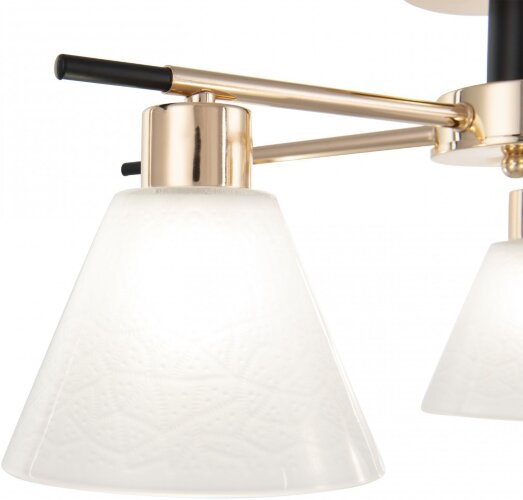 Потолочная люстра Arte Milano 322119/5 FG+BK