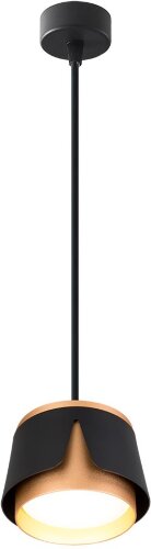 Подвесной светильник Arte Lamp A8028SP-1BK