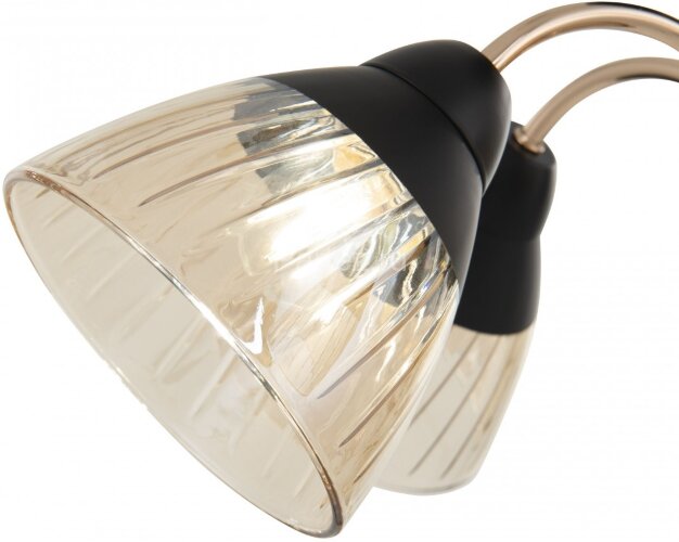 Потолочная люстра Arte Milano 320119/3 FG+BK