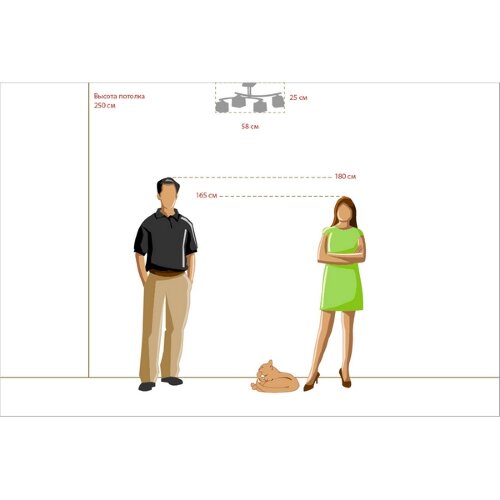 Потолочная люстра DeMarkt 673011004