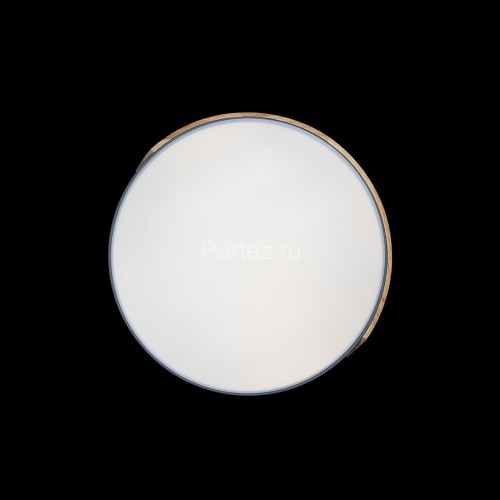 Потолочный светильник Loft It 10004/36 Grey