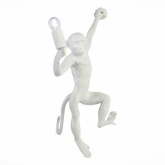 Бра Evoluce SLE115111-01