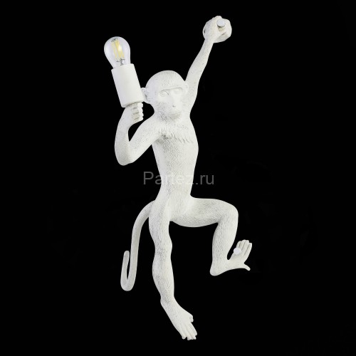 Бра Evoluce SLE115111-01