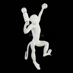 Бра Evoluce SLE115111-01