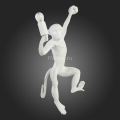 Бра Evoluce SLE115111-01