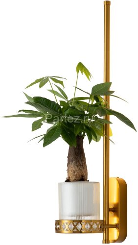 Бра Favourite 4050-1W