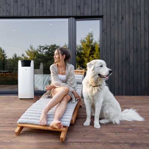 Кондиционер мобильный Electrolux EACM-09 RK/N6