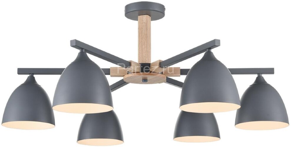 Потолочная люстра Lumion 8096/6C