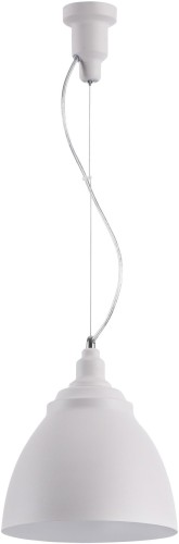 Подвесной светильник Maytoni P534PL-01W