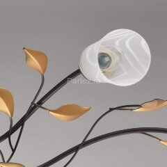 Потолочная люстра MW-Light 242015206