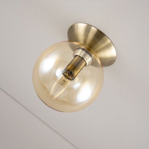 Настенно-потолочный светильник Citilux CL102513