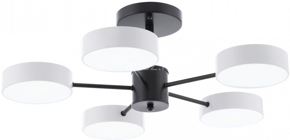 Потолочная люстра Arte Milano 250906/5B Wh