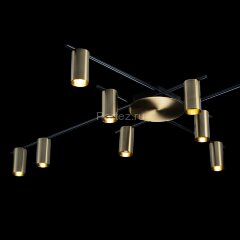 Потолочная люстра Loft It 8120C-10