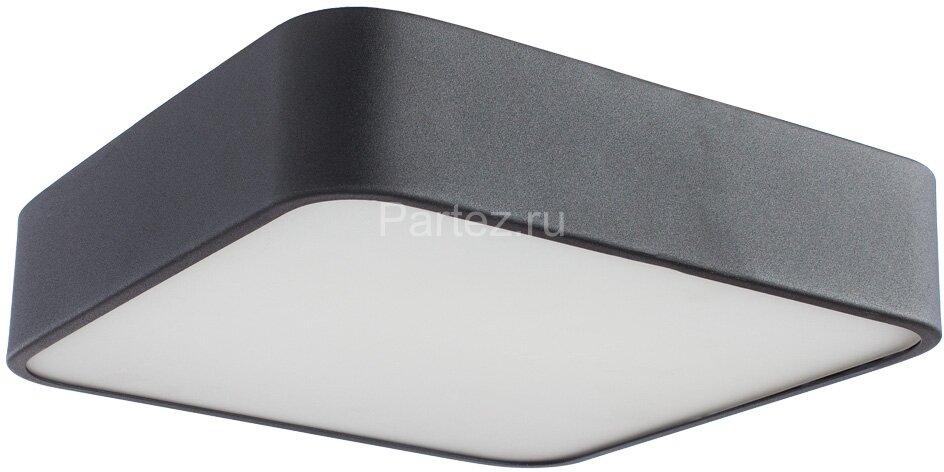Потолочный светильник Arte Lamp A7210PL-2BK