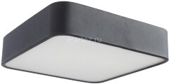 Потолочный светильник Arte Lamp A7210PL-2BK