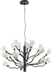 Подвесная люстра Odeon Light 5090/18