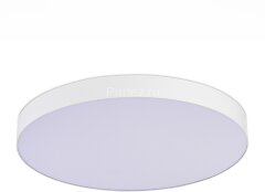 Потолочный светильник ST Luce ST606.532.96