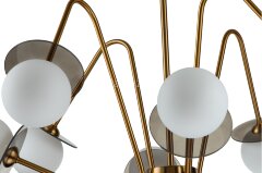 Потолочная люстра Indigo V000166