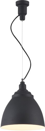 Подвесной светильник Maytoni P534PL-01B