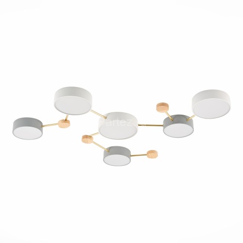 Потолочная люстра Evoluce SLE600102-06