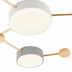 Потолочная люстра Evoluce SLE600102-06