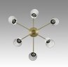 Потолочная люстра Lumion 6584/6C