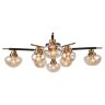 Потолочная люстра Lussole LGO LSP-8142