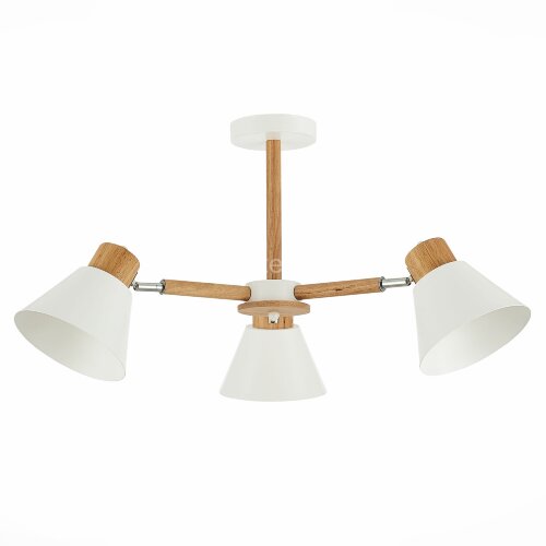 Потолочная люстра Evoluce SLE103702-03