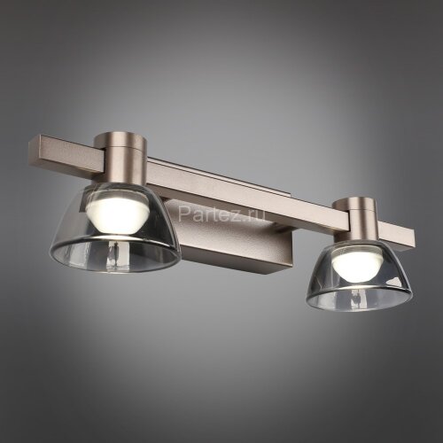 Настенный светильник Aployt APL.788.01.02