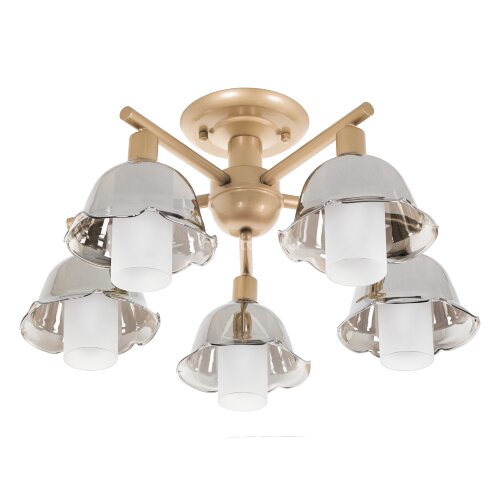 Потолочная люстра MyFar MR1481-5C