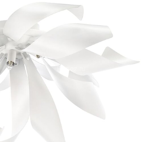 Потолочная люстра Lightstar 754166