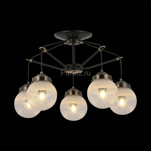 Потолочная люстра Evoluce SLE110302-05