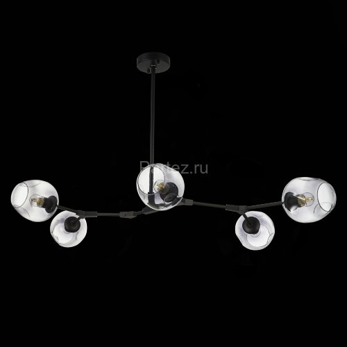 Потолочная люстра Evoluce SLE154843-05